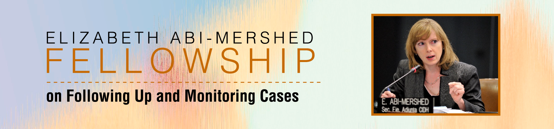 Elizabeth Abi-Mershed Fellowship