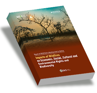 Impacts of Forest Fires on Economic, Social, Cultural, and Environmental Rights and Biodiversity