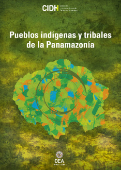 Situacin de los derechos humanos de los pueblos indgenas y tribales en la panamazona