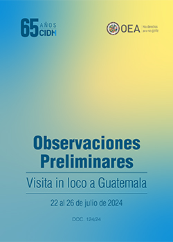 Observaciones preliminares de la visita in loco a Guatmala