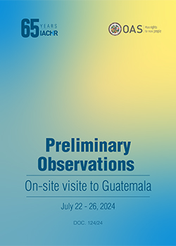 preliminary observations of the on-site visit to Guatemala