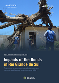 Impacts of the Floods in Rio Grande do Sul: Observations and Recommendations for the Guarantee of Economic, Social, Cultural and Environmental Rights