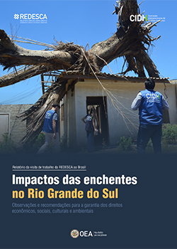 Impactos das inundações no Rio Grande do Sul: observações e recomendações para a garantia dos direitos econômicos, sociais, culturais e ambientais