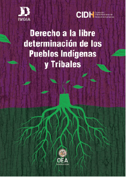 Derecho a la libre determinacin de los Pueblos Indgenas y Tribales
