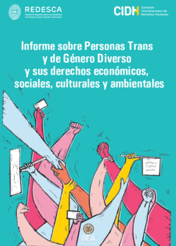 Informe sobre personas trans y de gnero diverso y sus derechos econmicos, sociales culturales y ambientales