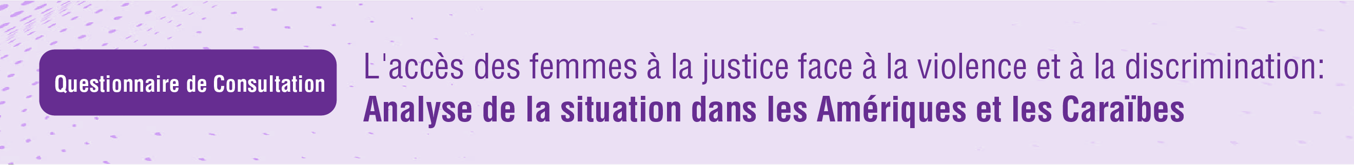 l'accs des femmes  la justice dans les cas de violence et de discrimination : une tude de situation dans les amriques et les carabes