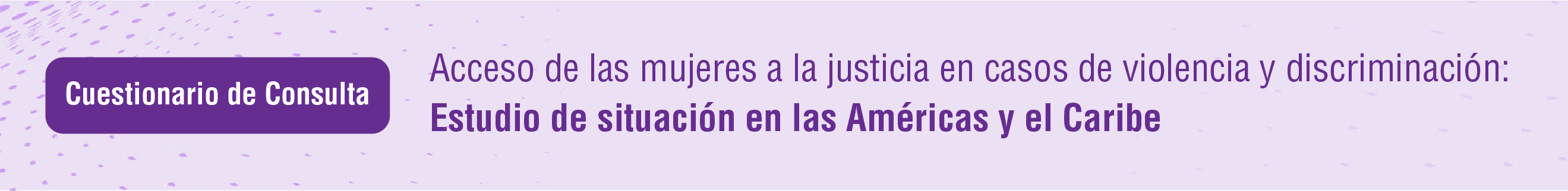 Acceso de las mujeres a la justicia en casos de violencia y discriminacin: estudio de situacin en las Amricas y el Caribe