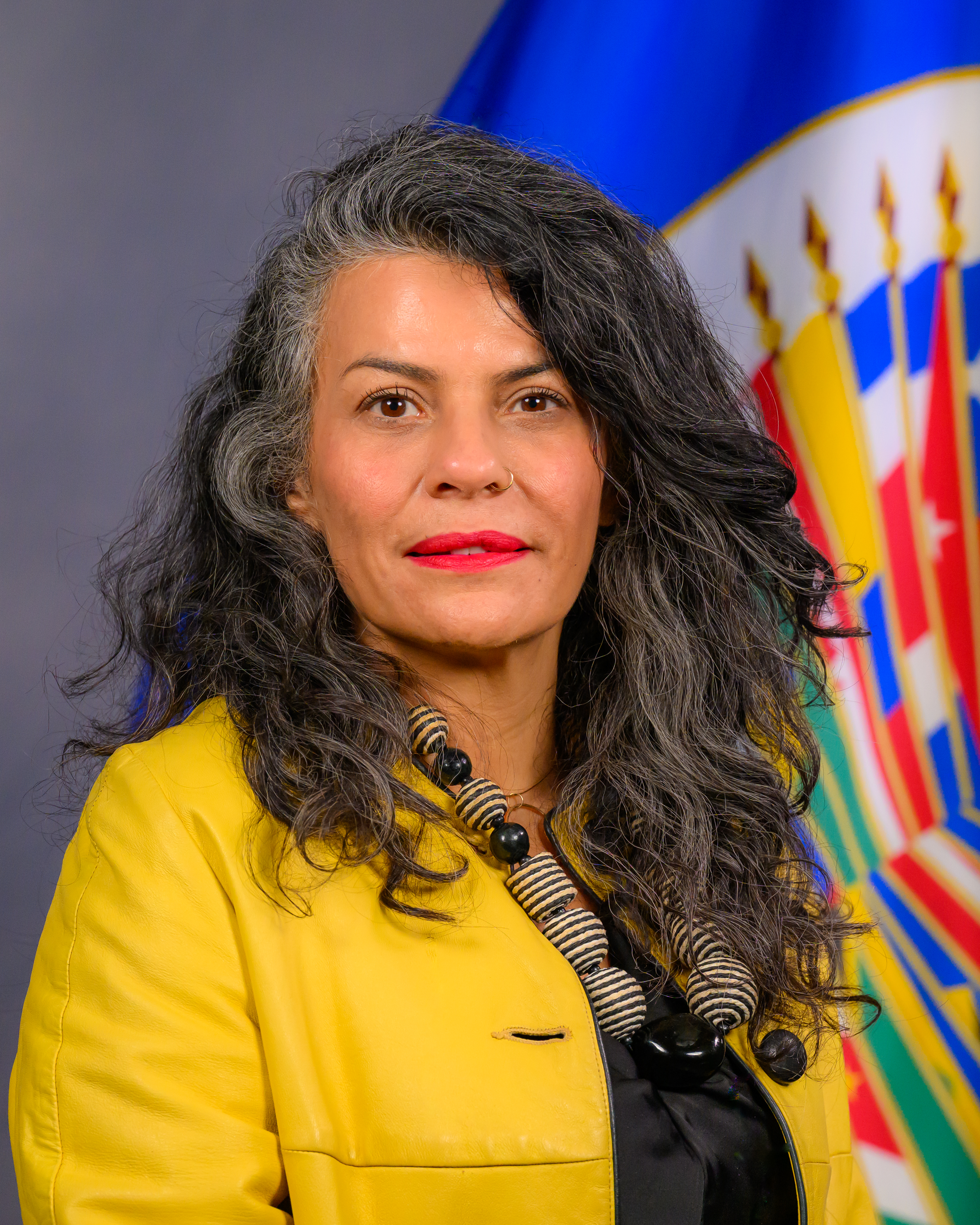 Secretaria Tecnica Luz Patricia Mejia