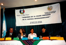 Guatemala, June 28-29, 2001: Seminar on the Rights of Indigenous Women in the Inter-American System